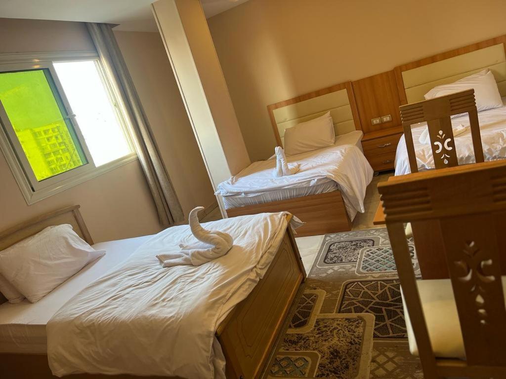 Grand Pyramids View Hotel Kairó Kültér fotó